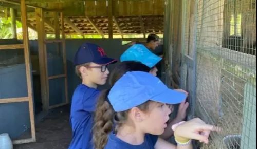 O Fundamental I retoma as idas à Escola de Campo